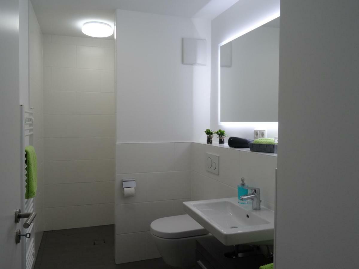 Ferienapartment Im Augustinus Park Трир Екстериор снимка